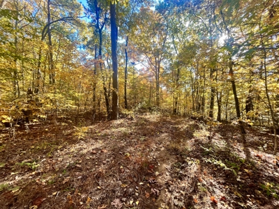 Newton County 20 Acres For Sale Borders Ozark National Forest - image 21