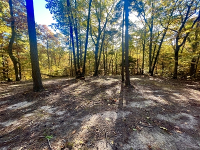 Newton County 20 Acres For Sale Borders Ozark National Forest - image 8