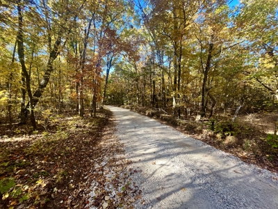 Newton County 20 Acres For Sale Borders Ozark National Forest - image 5