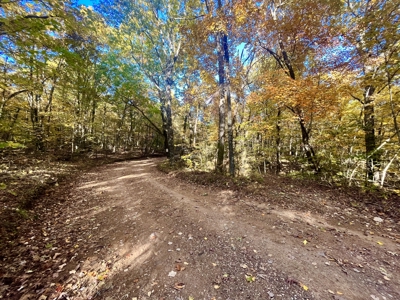 Newton County 20 Acres For Sale Borders Ozark National Forest - image 12