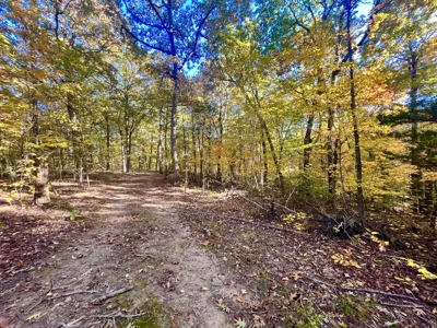 Newton County 20 Acres For Sale Borders Ozark National Forest - image 10