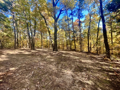 Newton County 20 Acres For Sale Borders Ozark National Forest - image 9