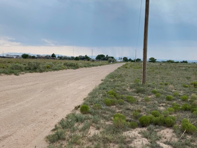 2 Lots with Power, Well & Mountain Views Near Estancia, NM - image 4