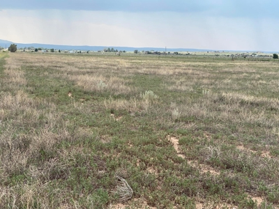 2 Lots with Power, Well & Mountain Views Near Estancia, NM - image 2