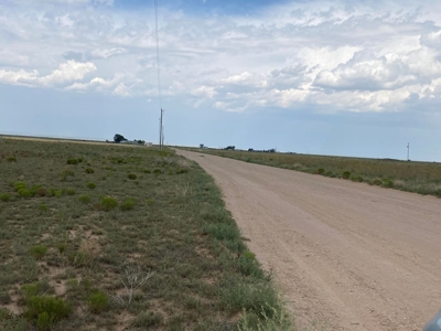 2 Lots with Power, Well & Mountain Views Near Estancia, NM - image 3