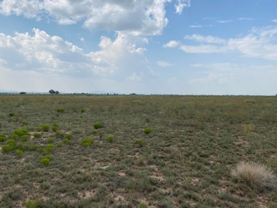 2 Lots with Power, Well & Mountain Views Near Estancia, NM - image 1