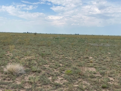 2 Lots with Power, Well & Mountain Views Near Estancia, NM - image 5