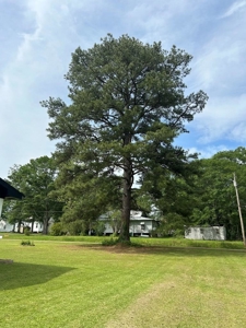 Brick Home with Modern Updates Pike County Osyka Mississippi - image 2