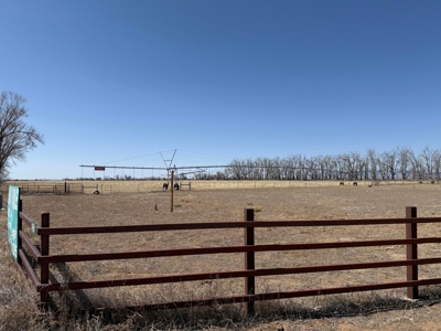 Central New Mexico Irrigated Farm for Sale – Wells, Buildings, an - image 2