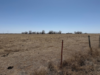 Central New Mexico Irrigated Farm for Sale – Wells, Buildings, an - image 23