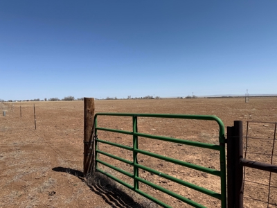 Central New Mexico Irrigated Farm for Sale – Wells, Buildings, an - image 28