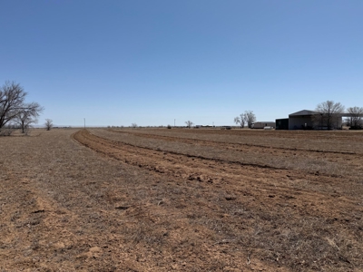 Central New Mexico Irrigated Farm for Sale – Wells, Buildings, an - image 11