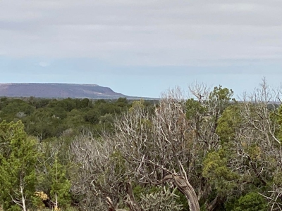 40 Acres for Sale in Bull Canyon Ranches, NM – Red Rock Views - image 2