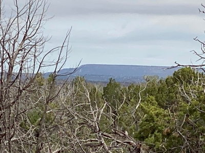 40 Acres for Sale in Bull Canyon Ranches, NM – Red Rock Views - image 7