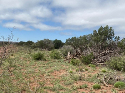 40 Acres for Sale in Bull Canyon Ranches, NM – Red Rock Views - image 4