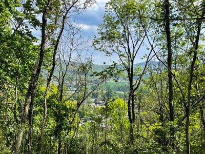 Home For Sale In Exclusive Neighborhood In Wytheville VA - image 40