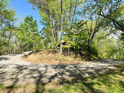Home For Sale In Exclusive Neighborhood In Wytheville VA - image 38