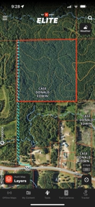 Hunting Land For Sale Lincoln County Loyd Star Mississippi - image 8