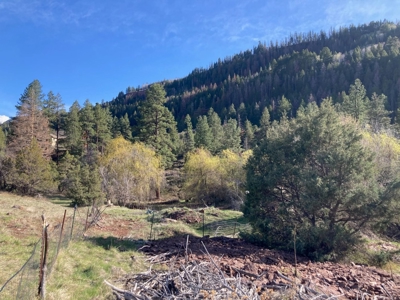Mountain Land for Sale in Ridgway, Colorado - image 16