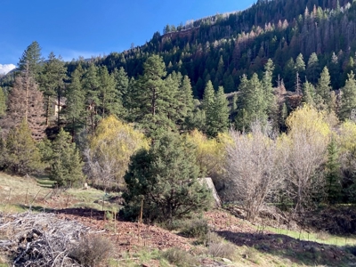 Mountain Land for Sale in Ridgway, Colorado - image 14