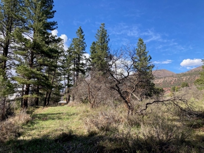 Mountain Land for Sale in Ridgway, Colorado - image 4