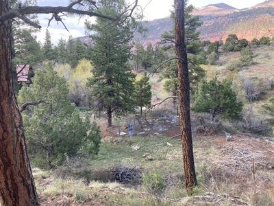 Mountain Land for Sale in Ridgway, Colorado - image 23