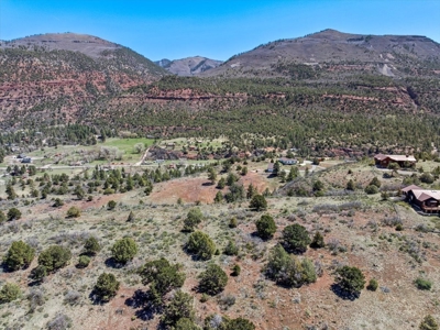 Mountain Land for Sale in Ridgway, Colorado - image 7