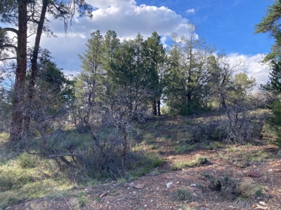 Mountain Land for Sale in Ridgway, Colorado - image 20