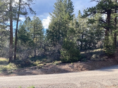 Mountain Land for Sale in Ridgway, Colorado - image 18