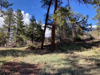 Mountain Land for Sale in Ridgway, Colorado - image 2