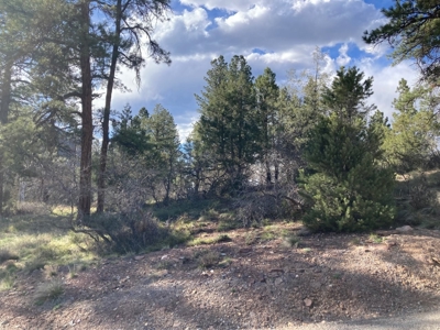 Mountain Land for Sale in Ridgway, Colorado - image 19