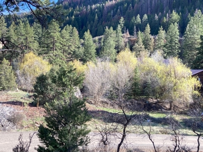 Mountain Land for Sale in Ridgway, Colorado - image 12