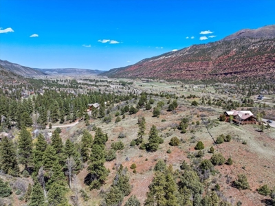 Mountain Land for Sale in Ridgway, Colorado - image 5