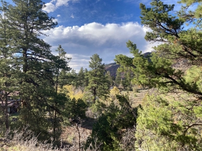 Mountain Land for Sale in Ridgway, Colorado - image 24