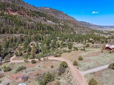 Mountain Land for Sale in Ridgway, Colorado - image 3