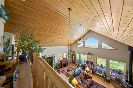 Mountain Home With Acreage for Sale in Cedaredge, Colorado - image 25