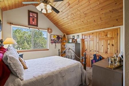 Mountain Home With Acreage for Sale in Cedaredge, Colorado - image 26