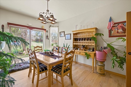 Mountain Home With Acreage for Sale in Cedaredge, Colorado - image 20