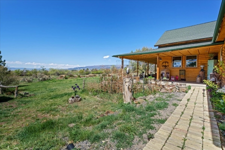 Mountain Home With Acreage for Sale in Cedaredge, Colorado - image 5