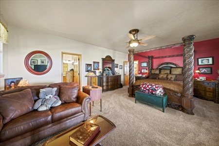 Mountain Home With Acreage for Sale in Cedaredge, Colorado - image 21