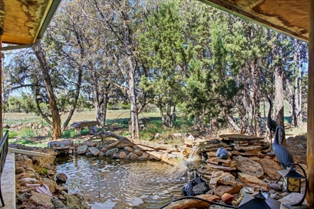 Mountain Home With Acreage for Sale in Cedaredge, Colorado - image 33