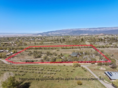 Mountain Home With Acreage for Sale in Cedaredge, Colorado - image 34