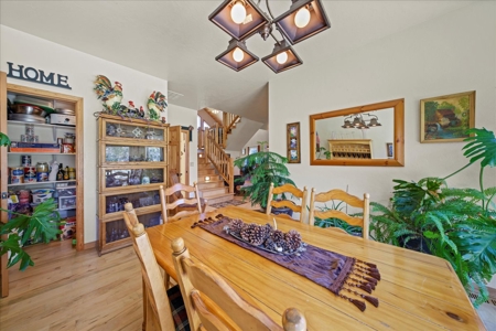 Mountain Home With Acreage for Sale in Cedaredge, Colorado - image 14