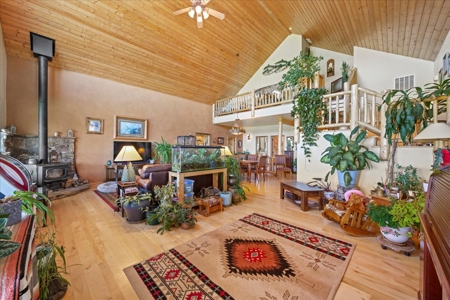 Mountain Home With Acreage for Sale in Cedaredge, Colorado - image 8