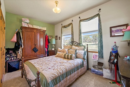 Mountain Home With Acreage for Sale in Cedaredge, Colorado - image 28