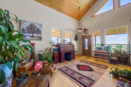Mountain Home With Acreage for Sale in Cedaredge, Colorado - image 9