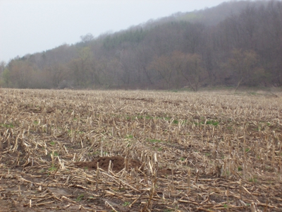Investors, contractors, farmers, Hillsboro, Wisconsin - image 3