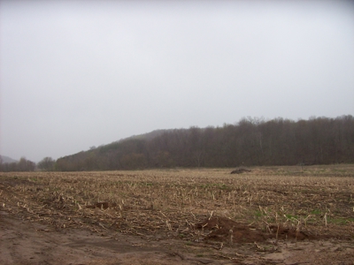 Investors, contractors, farmers, Hillsboro, Wisconsin - image 4