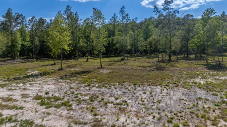 25 Acres in North Florida – Cleared Sites & Natural Beauty - image 1