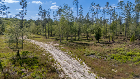 25 Acres in North Florida – Cleared Sites & Natural Beauty - image 2